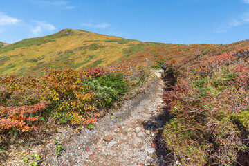 宮城県　秋の栗駒岳の紅葉登山