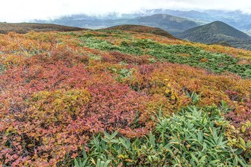 宮城県　秋の栗駒岳の紅葉登山