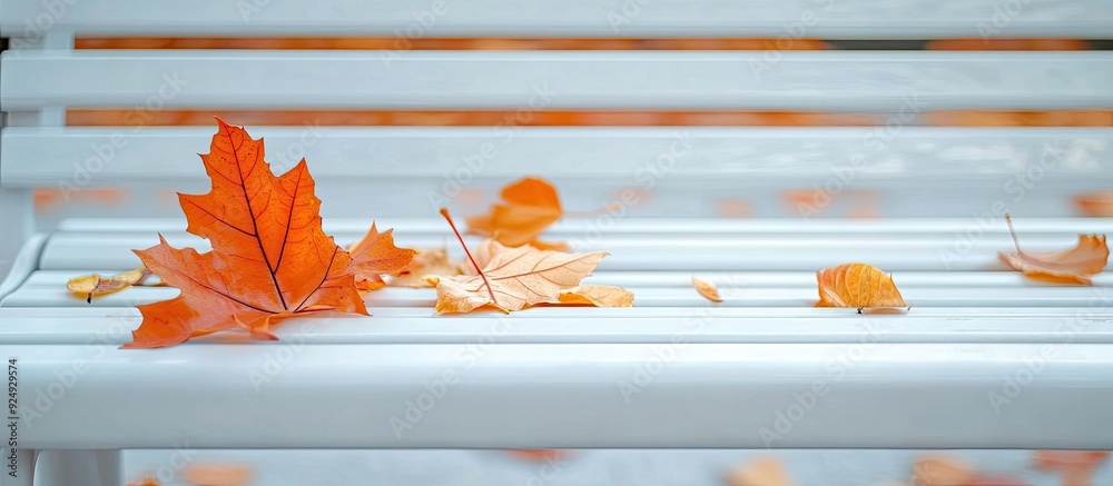 Fototapete fallen autumn leaves rest on a white bench autumn theme. with copy space image. place for adding tex