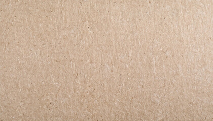 Close-Up of Natural Beige Textured Paperboard with Fine Lines and Subtle Imperfections, Neutral Rustic Backdrop for Creative Design Eco-Friendly Packaging Concepts. Banner Poster Background Wallpaper 