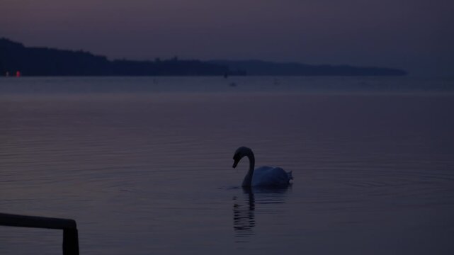 Bodensee