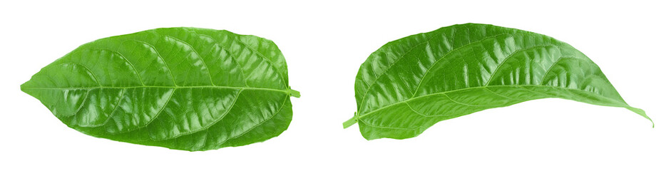 leaf of passion-fruit or maracuja isolated on white background. Top view. Flat lay
