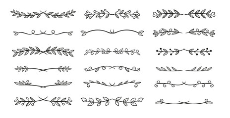 Obraz premium Collection drawn elegant ornamental divider