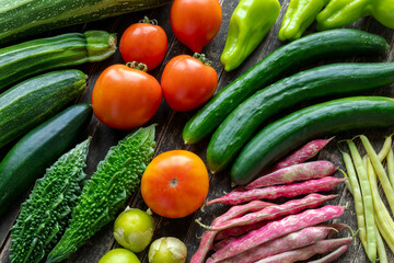 Assortment of freshly harvested vegetables from organic garden: zucchini, cubanelle chilis, tomatoes, Japanese cucumbers, bitter melons, tomatillos, runner beans, green beans, and Japanese cucumbers.