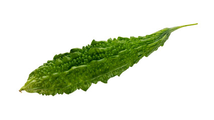 Freshly harvested organic bitter melon (Momordica charantia) isolated on white.