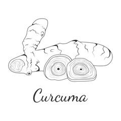 Turmeric. Indian aromatic plant, spice. Turmeric root and slices. Cooking and health
Vector illustration in doodle style.