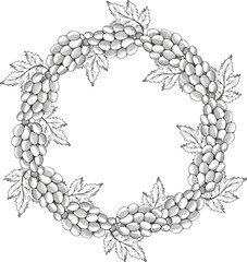 Frame with Grapes. Hand drawn vector engraved vintage illustration. Background for text with Grapevine. The images are created without the use of any artificial intelligence software at any stage