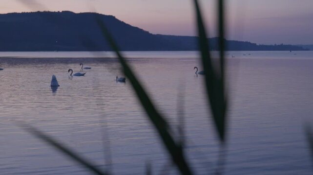 Bodensee