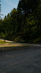 A path in quarry and forest