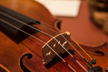 Fototapeta premium close up of a violin
