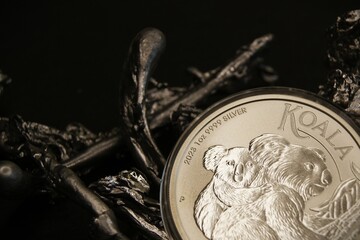 Fragment of a silver investment coin. Australian 1 dollar Koala 2023.