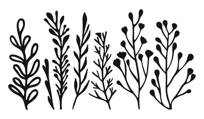 Set botanical branch silhouettes and minimal leaves design elements. Hand drawn line wedding herb, simple wildflowers