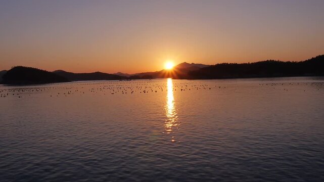 The aquaculture industry in Wando, the southern tip of Korea, is active.