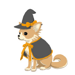 魔女の衣装を着てお座りしているチワワ【茶】