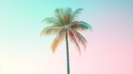 A single palm tree stands tall against a vibrant pink and blue sky.  Tropical vibes abound.