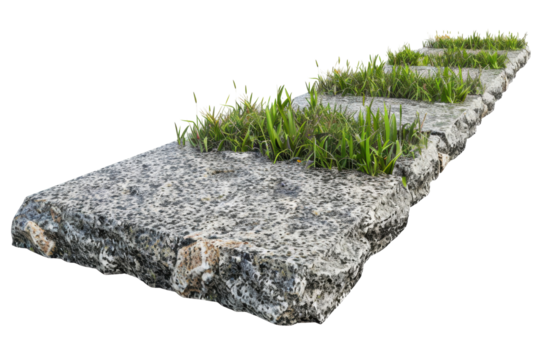 A close-up of a concrete stepping stone pathway with green grass growing between the gaps, isolated on a white background.