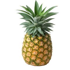 Fototapeta premium Tropical Pineapple Fruit PNG
