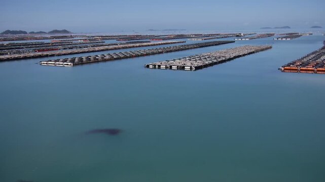 The aquaculture industry in Wando, the southern tip of Korea, is active.