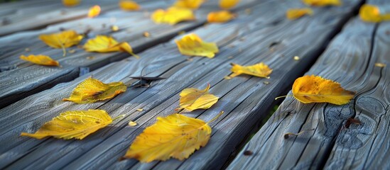 Nature themed background featuring yellow autumn leaves resting on a wooden surface ideal for adding textual content or graphics Copy space image