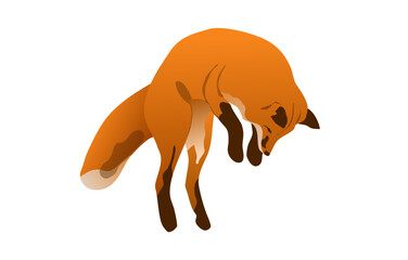 Fox isolated on white background. Bright picture of red fox for children. Vector illustration. Forest animal.
