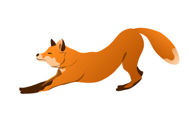Fox isolated on white background. Bright picture of red fox for children. Vector illustration. Forest animal.