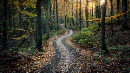 Serene Forest Path at Sunset