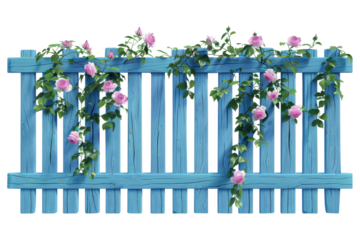 Bright blue wooden fence with pink roses climbing over it, creating a vibrant and charming garden scene on a white background.