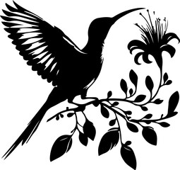 Obraz premium majestic Hummingbirds & Flowers silhouette, vector, clipart, nature, abstract illustration 20