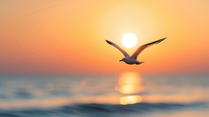 Solitary Seagull Soaring Over Ocean During Sunset