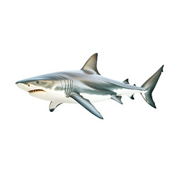 Fototapeta premium Powerful Gray Shark Isolated on Plain White Background Transparent PNG