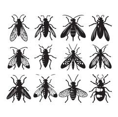 insect Silhouette vector illustration © MSTMIM