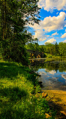 Obraz premium lake in the forest