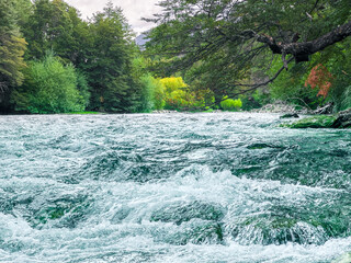 Rapids of the Manso River in the forest