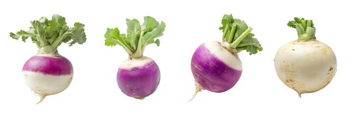 Set of fresh, whole turnip isolated on a transparent background 