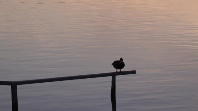 Bodensee