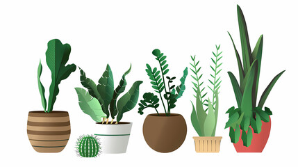 Set of different plants in pots isolated on white background illustration