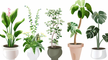 Obraz premium Set of different plants in pots isolated on white background illustration