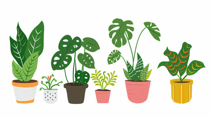 Obraz premium Set of different plants in pots isolated on white background illustration
