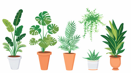 Obraz premium Set of different plants in pots isolated on white background illustration