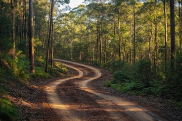 Empty off-road track with mountain background, muddy and uneven dirt road