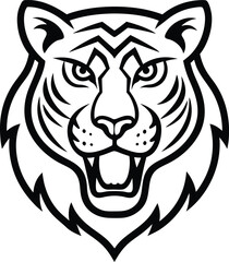 head of a tiger  vector illustration