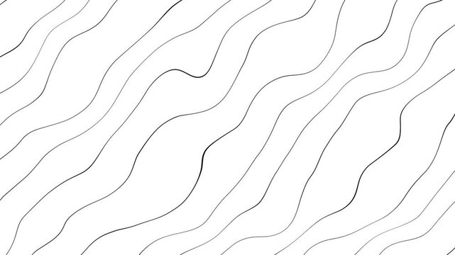 Black lines with a white background moving slowly and irregularly to form an abstract shape, ideal for use as background and wallpaper. wavy line motion graphic simple background. visual project
