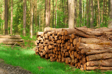 Stacked Logs in Sunny Countryside Field