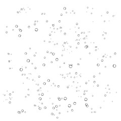 Oxygen air bubbles  flow  in water on white  background.