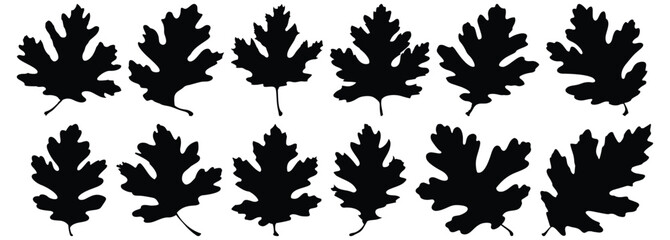 Leaf silhouette set vector design big pack of foliage illustration and icon