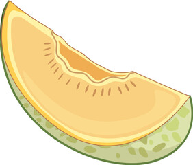 Fresh Melon Slice Illustration