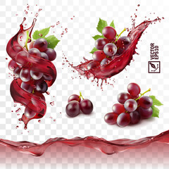 Realistic transparent isolated vector set, splash of wine or grape juice with red grapes branch