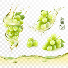 Realistic transparent isolated vector splash of wine or grape juice with green grapes branch