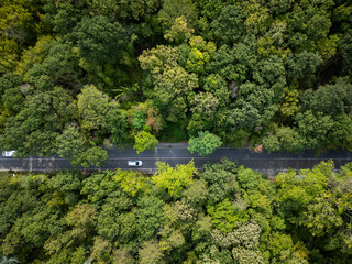 Drone video of a car driving through a winding road surrounded by dense green forest. The serene aerial view captures the beauty and tranquility of nature and the road less traveled