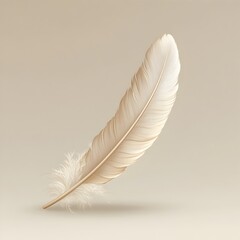 Obraz premium Detailed Quill Feather on Minimalist White Background in Style
